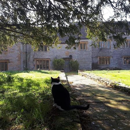 The Manor House, Curry Mallet Taunton Dış mekan fotoğraf
