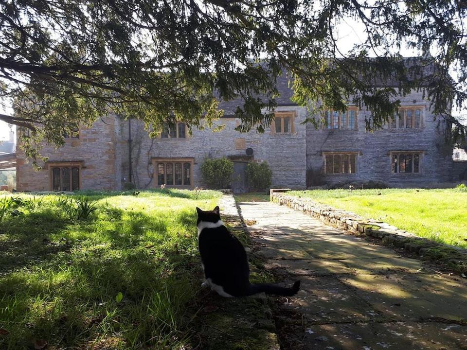 The Manor House, Curry Mallet Taunton Dış mekan fotoğraf