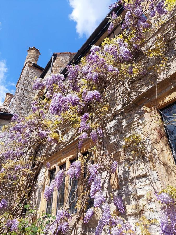 The Manor House, Curry Mallet Taunton Dış mekan fotoğraf
