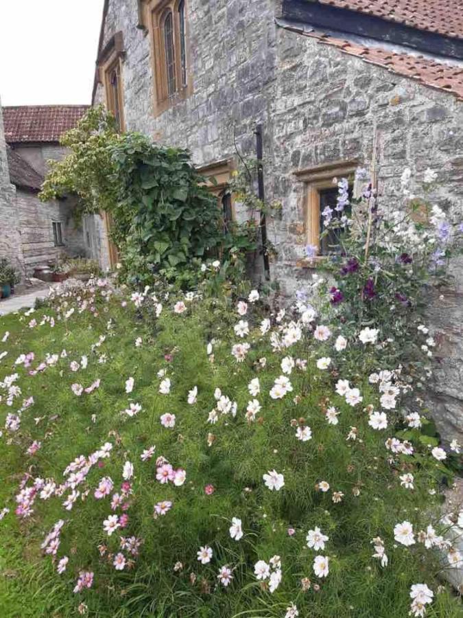 The Manor House, Curry Mallet Taunton Dış mekan fotoğraf